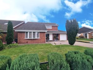 Front- click for photo gallery